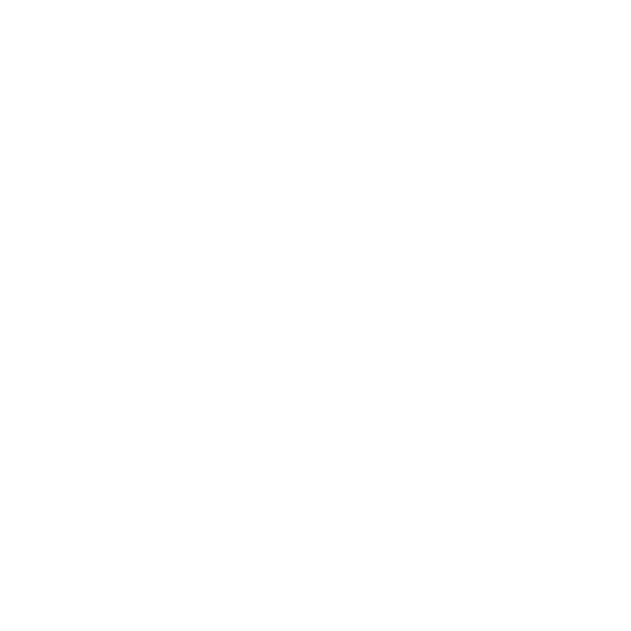 Logo_NUR_GD_W_3000_TRANS